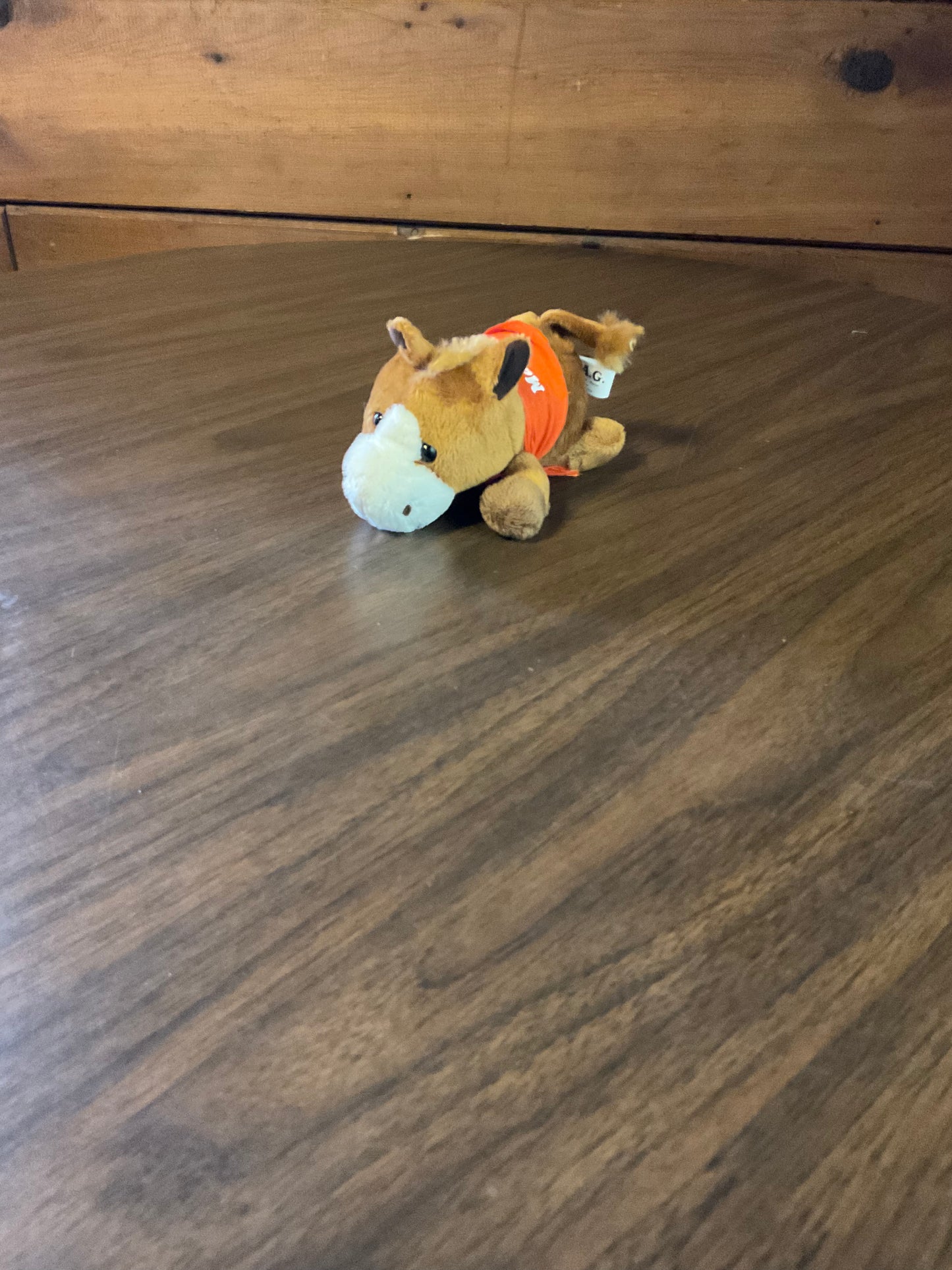 Pocket Pets