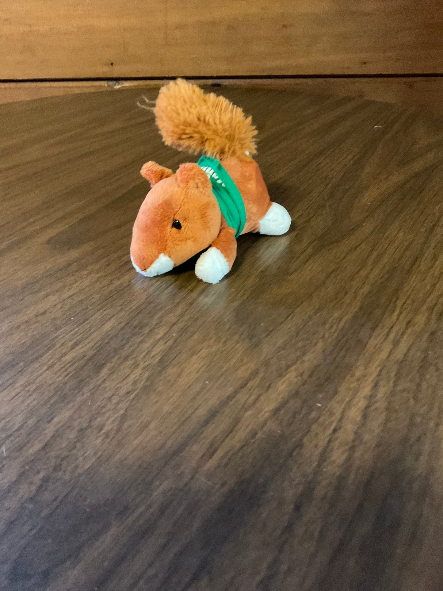 Pocket Pets