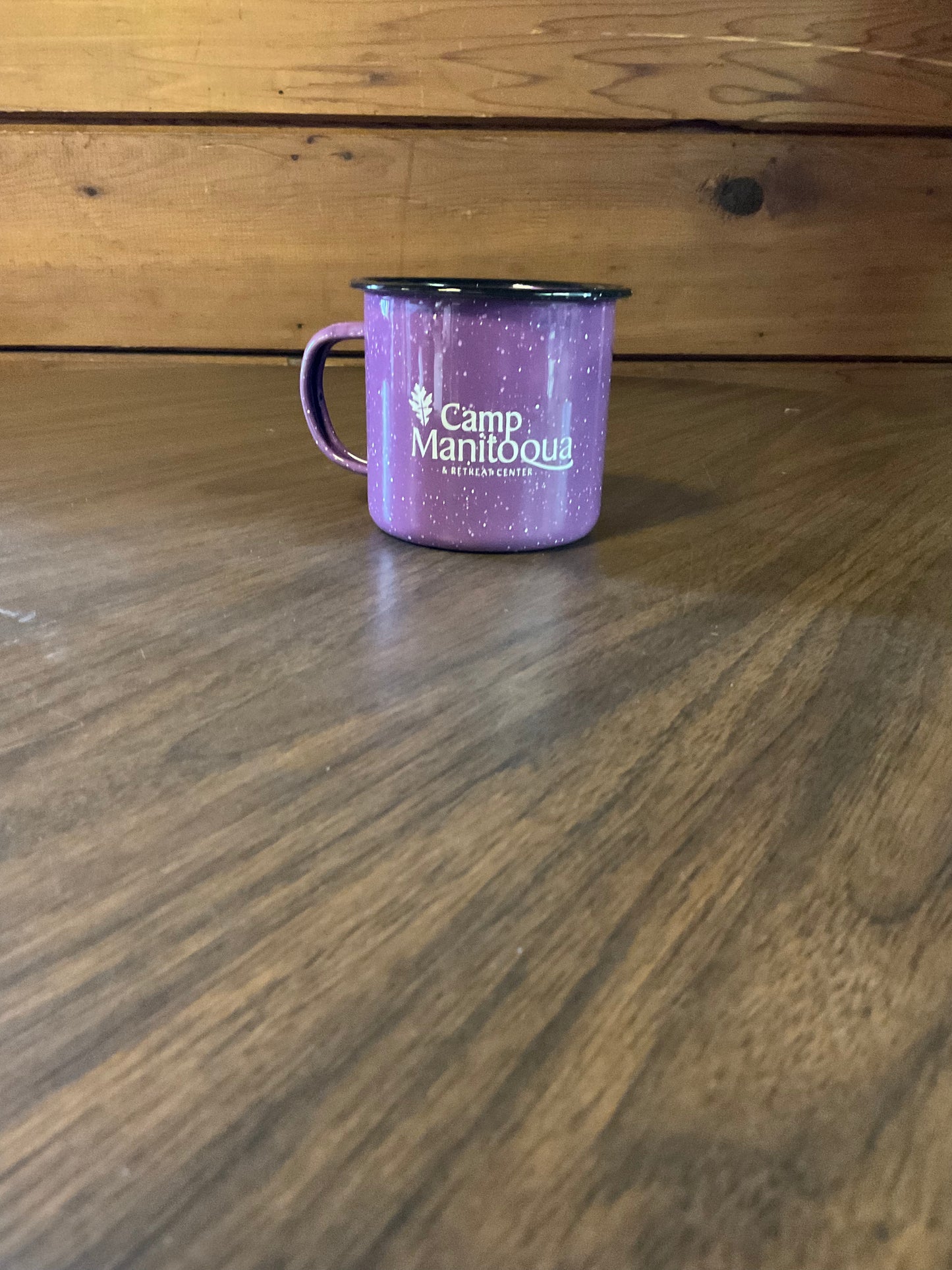 Enamel Mug