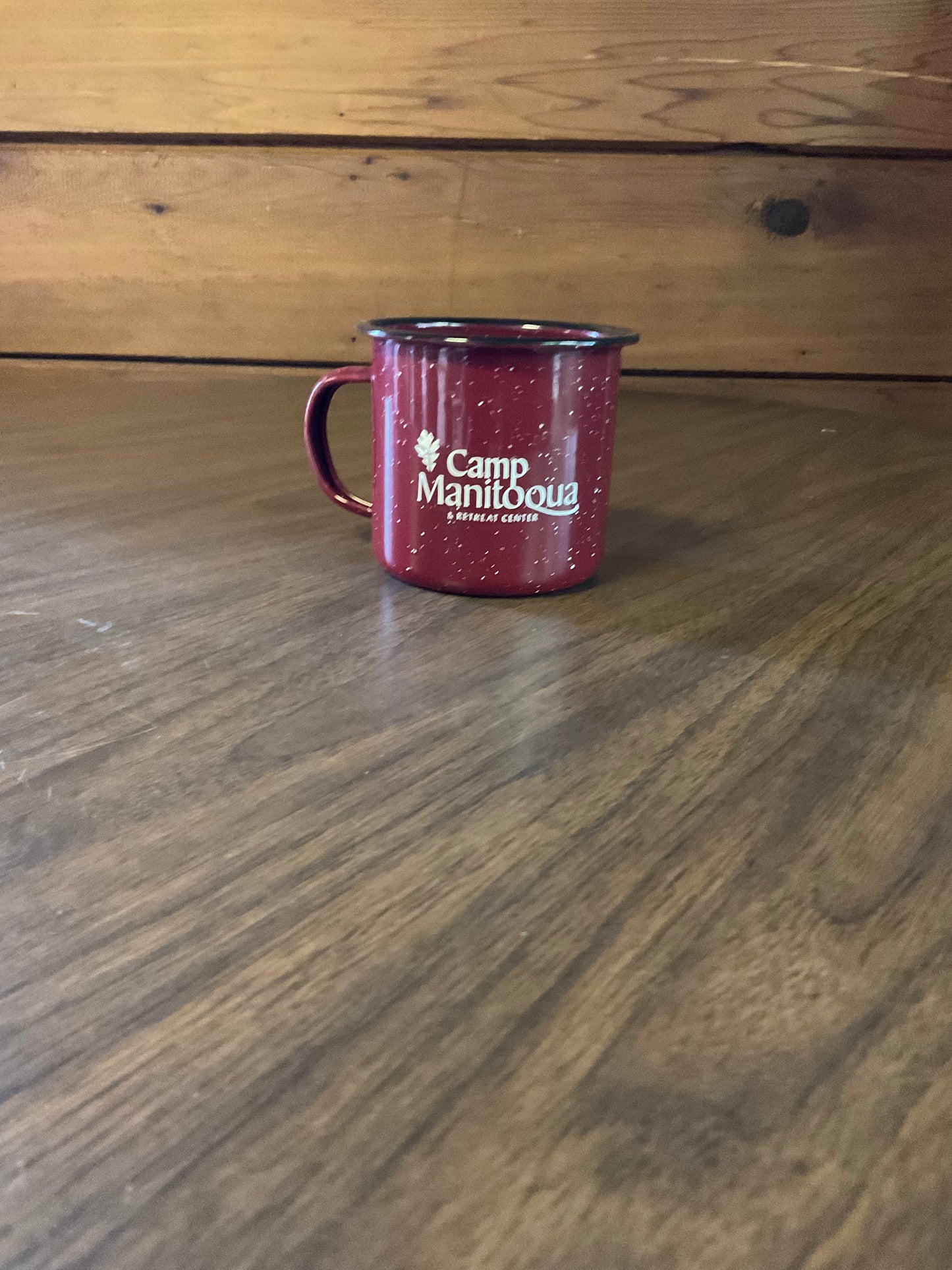 Enamel Mug