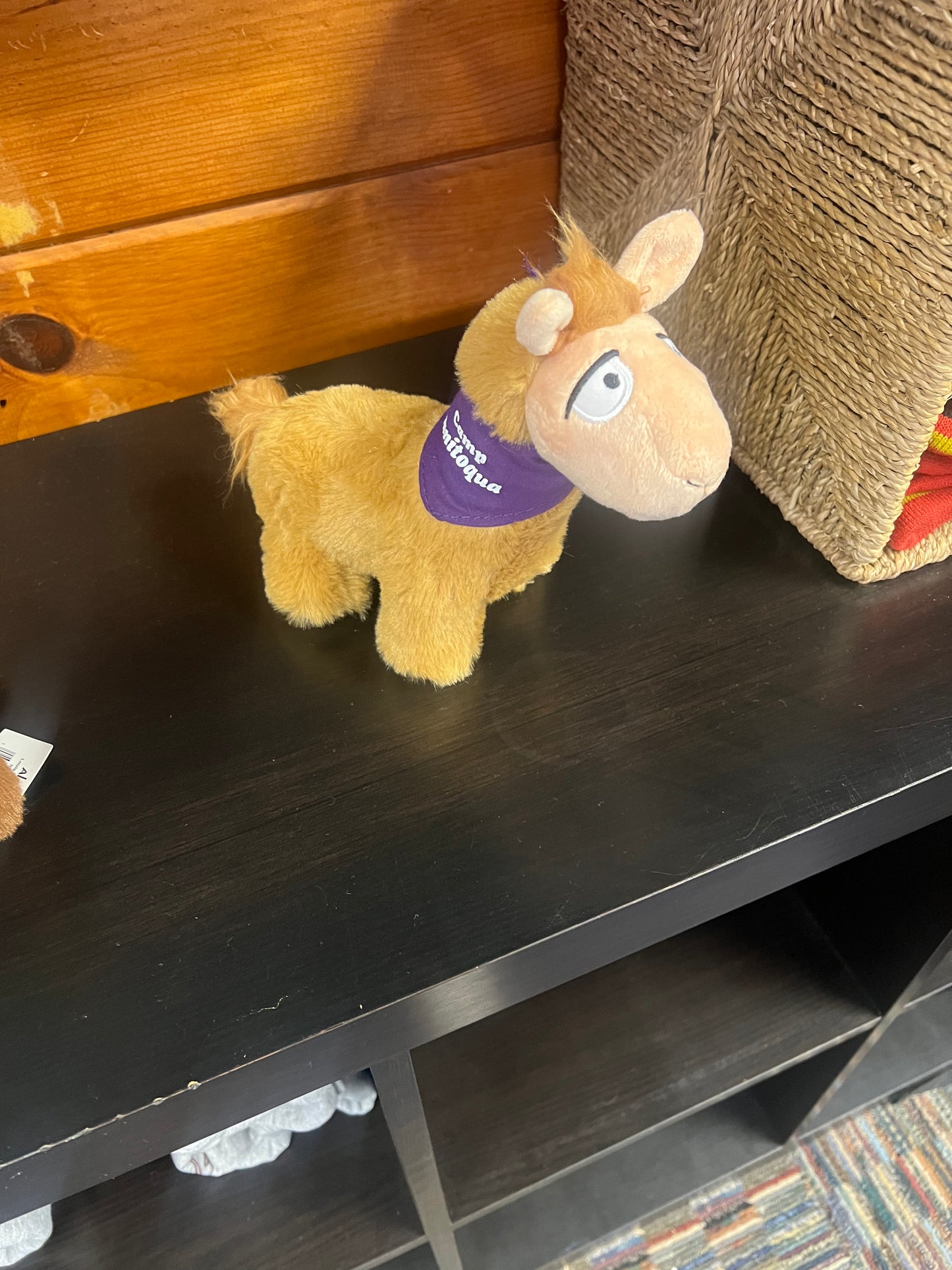 Llama