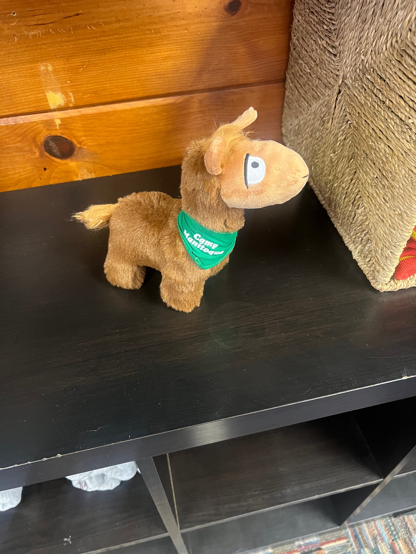 Llama