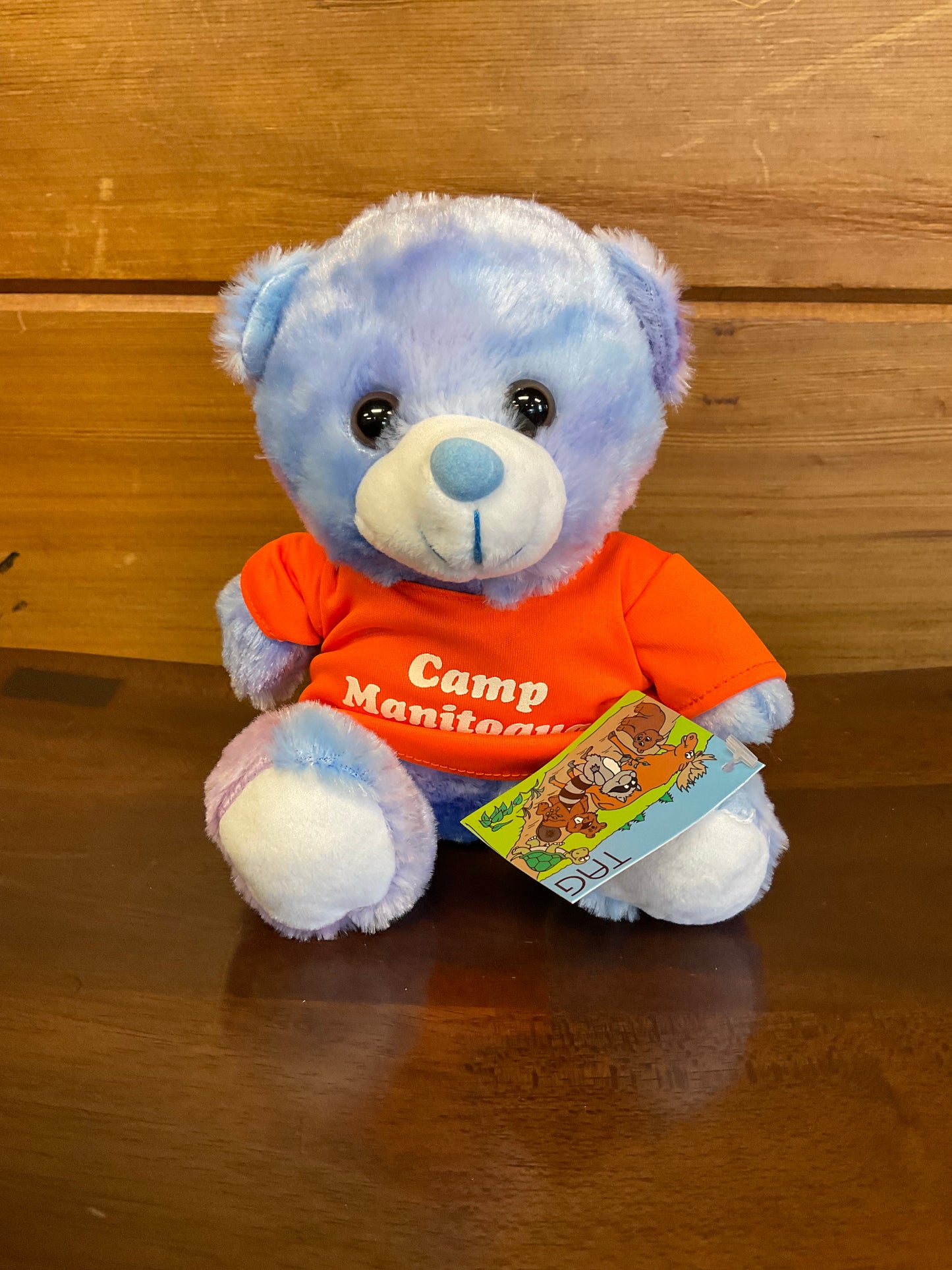 Tie Dye Bears