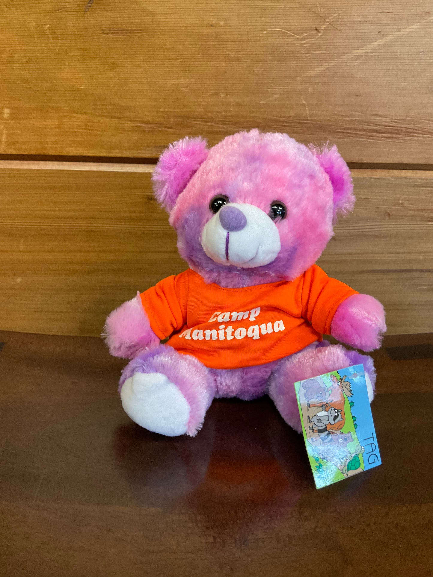 Tie Dye Bears