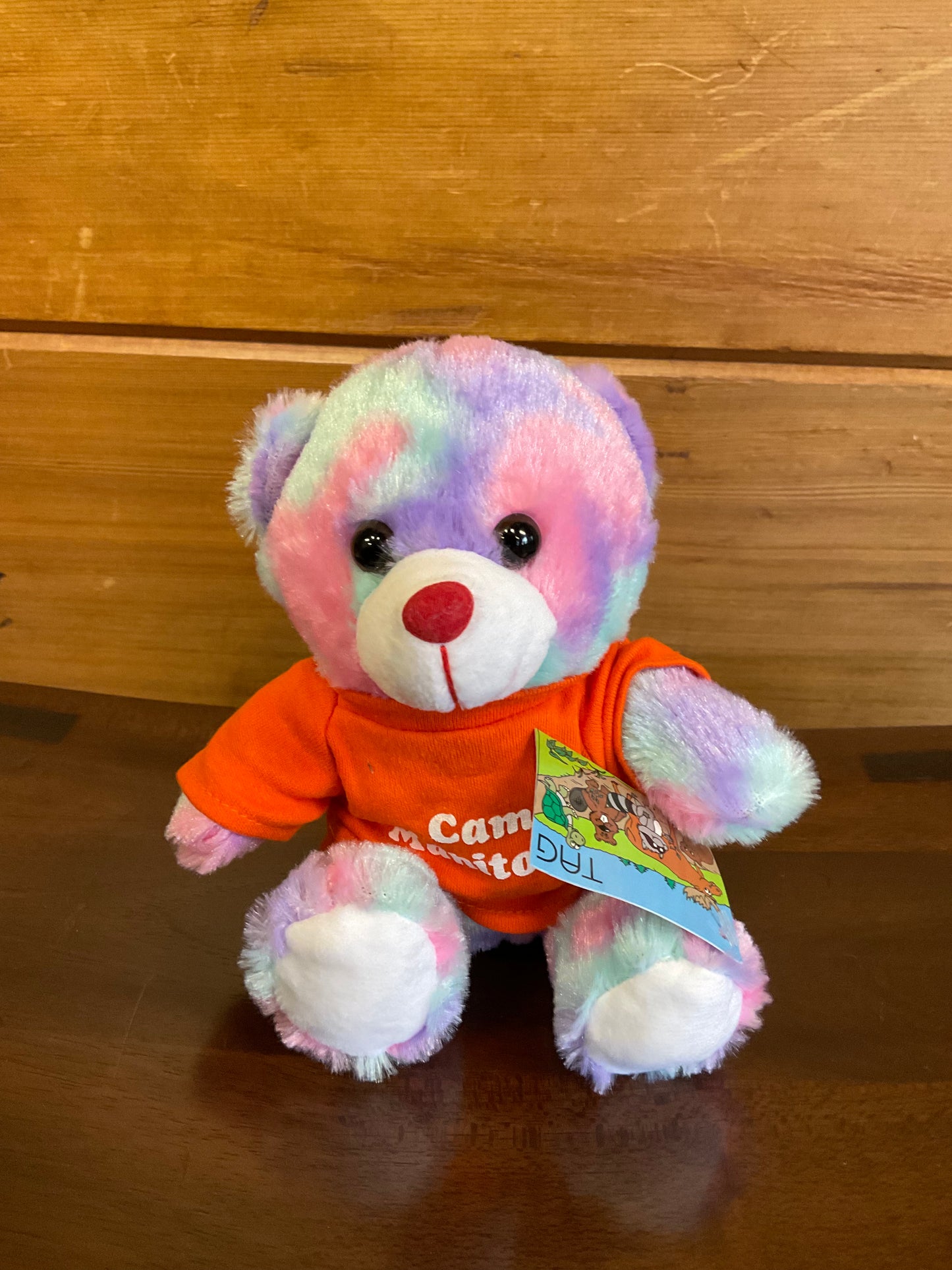 Tie Dye Bears