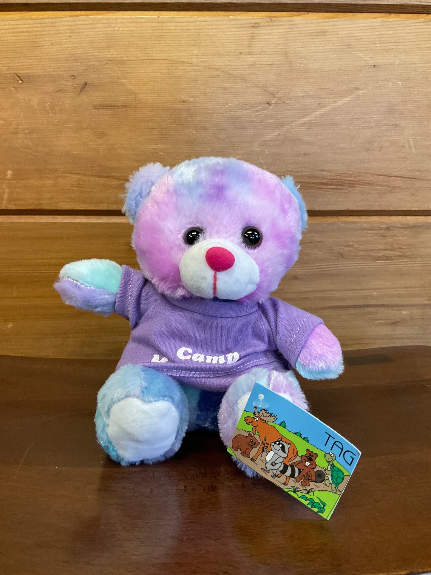 Tie Dye Bears
